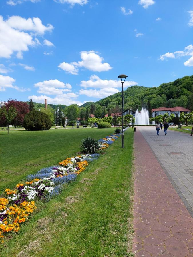 Aleks Sobe Otel Banja Koviljača Dış mekan fotoğraf